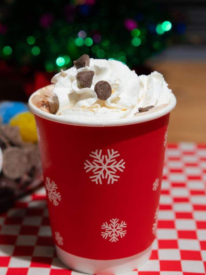 Tartelettes au chocolat Québec